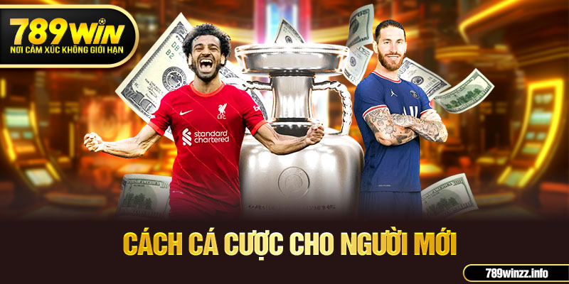 Cách cá cược cho người mới 