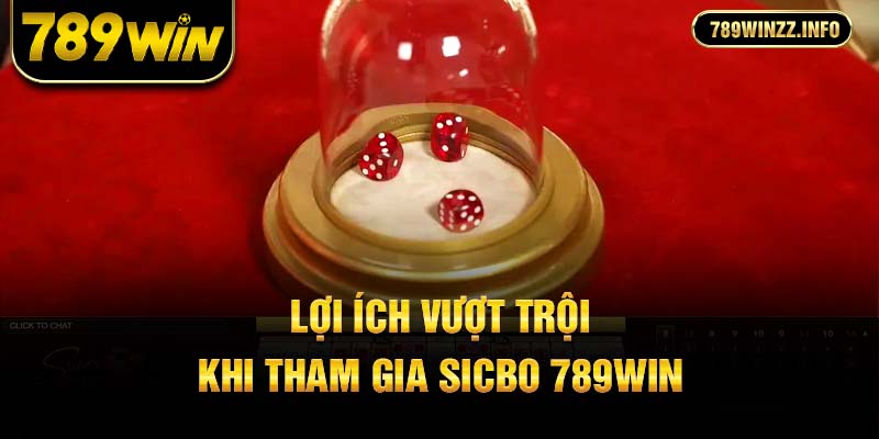 Lợi ích vượt trội khi tham gia sicbo 789Win