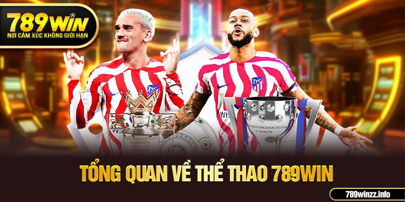 Tổng quan về thể thao 789WIN